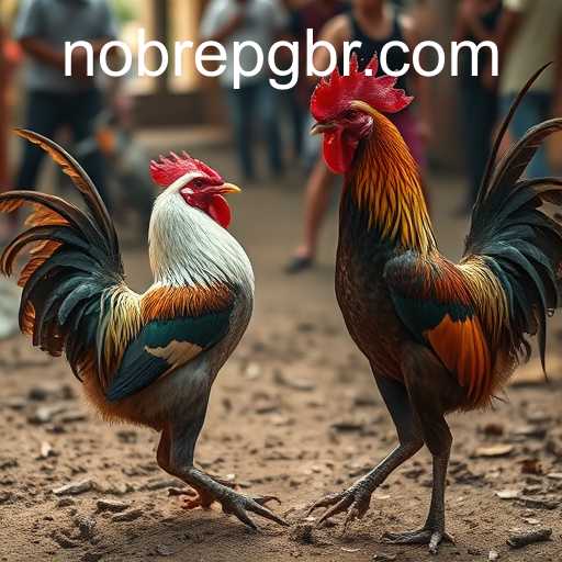 The Complex World of Cockfighting: An In-Depth Exploration